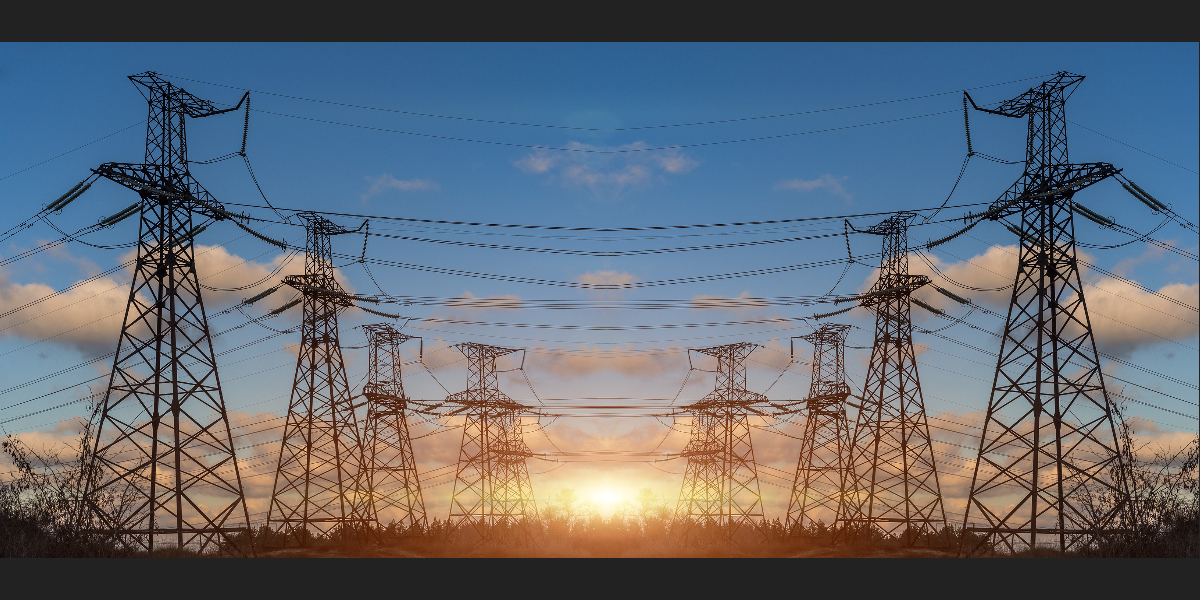 telephone poles in a field