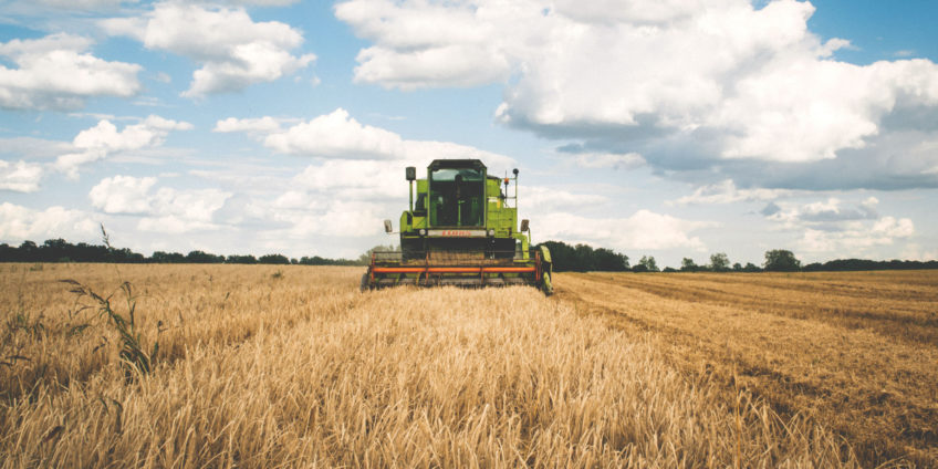 combine harvester working in field