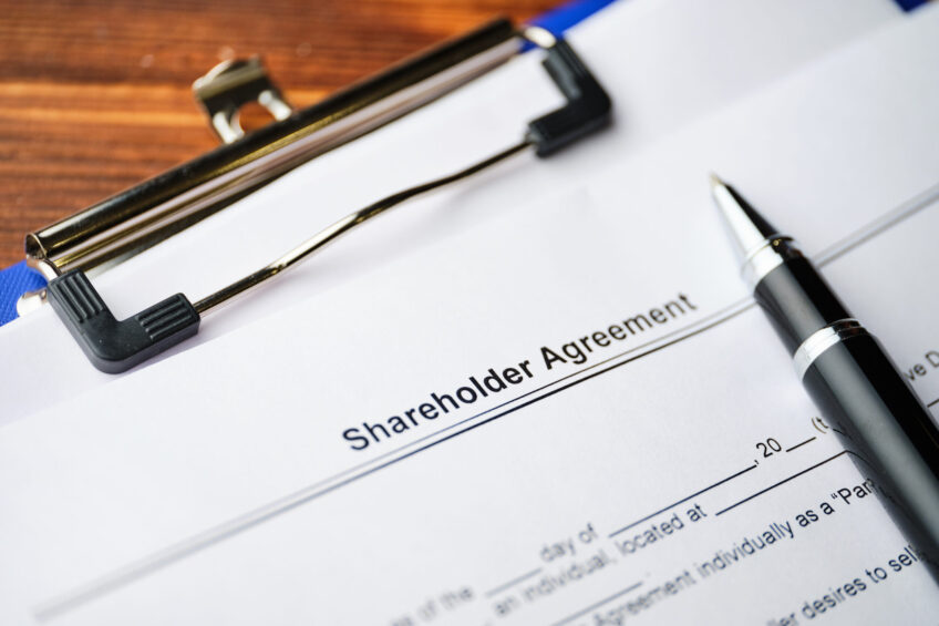 Shareholders Agreement - Do I need One?